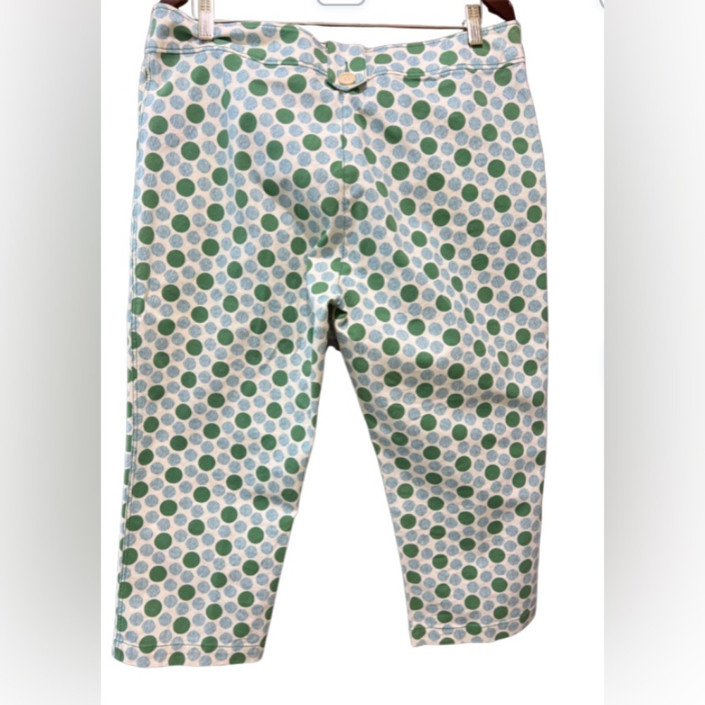 NWT Women’s Boden Green and Lght Blue Polka Dot Cropped Stretch Pants Size  16R - Picture 2 of 8